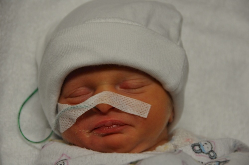 premature twins special care nursery