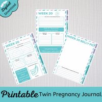 twin pregnancy journal printable