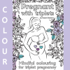 triplet pregnancy colouring in book triplet pregnancy colouring in book