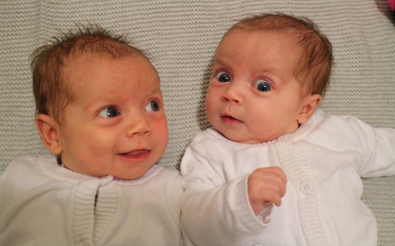 twins Uterus didelphys