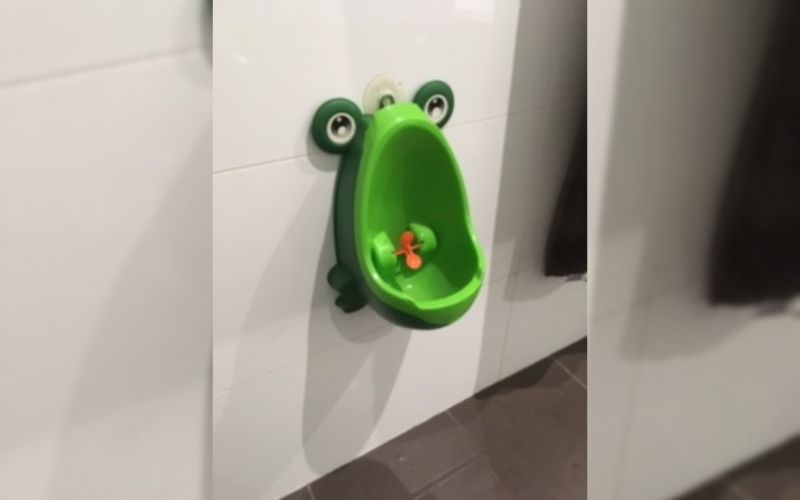 toilet training boy twins