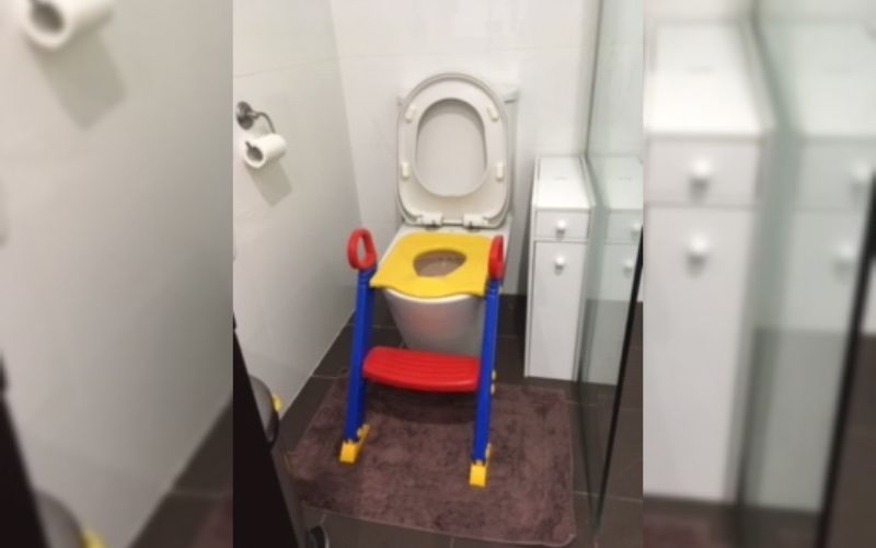 toilet training seat for twins