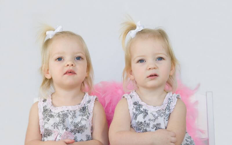 Comparing Twins Behaviours in Early Childhood