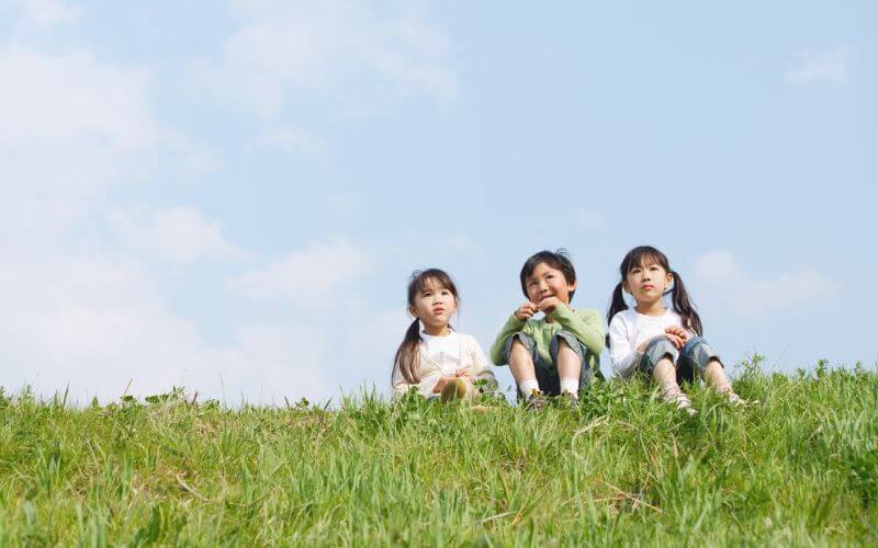 Twin and Triplet Similarities and Differences