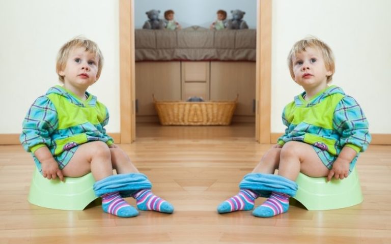 Toilet Training Twin Boys at Home